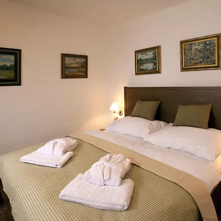Supina Hotel Trebon